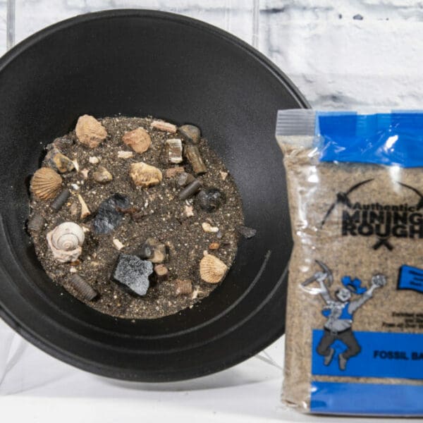 Large Fossil Bag (Blue Bag)