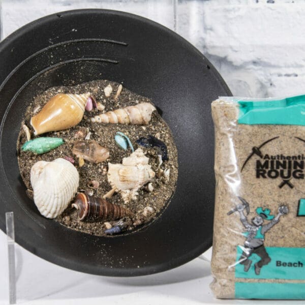 Teal Bag (Sea Shell)