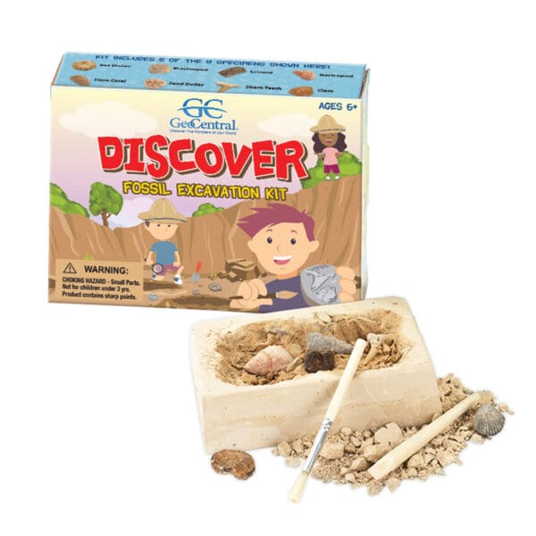 Fossil Excavation Kit