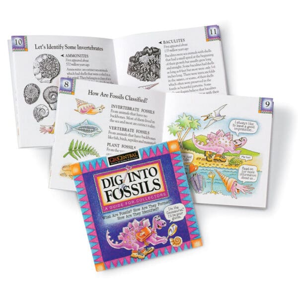 Dig Into Fossils Book