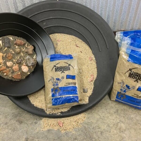 Large Fossil Bag (Blue Bag)