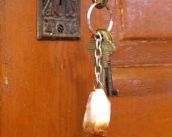 Citrine Point Key Chain