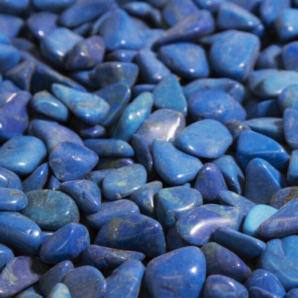 Tumbled Dyed Blue Howlite 1lb