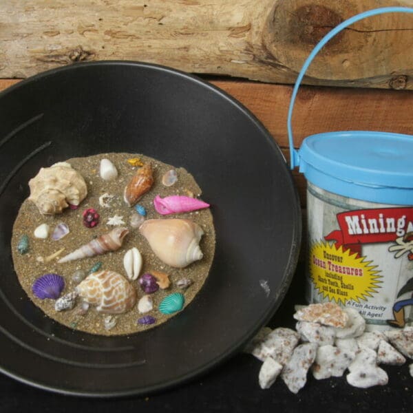 Sea Shell Mining Bucket BUY ONE GET ONE FREE