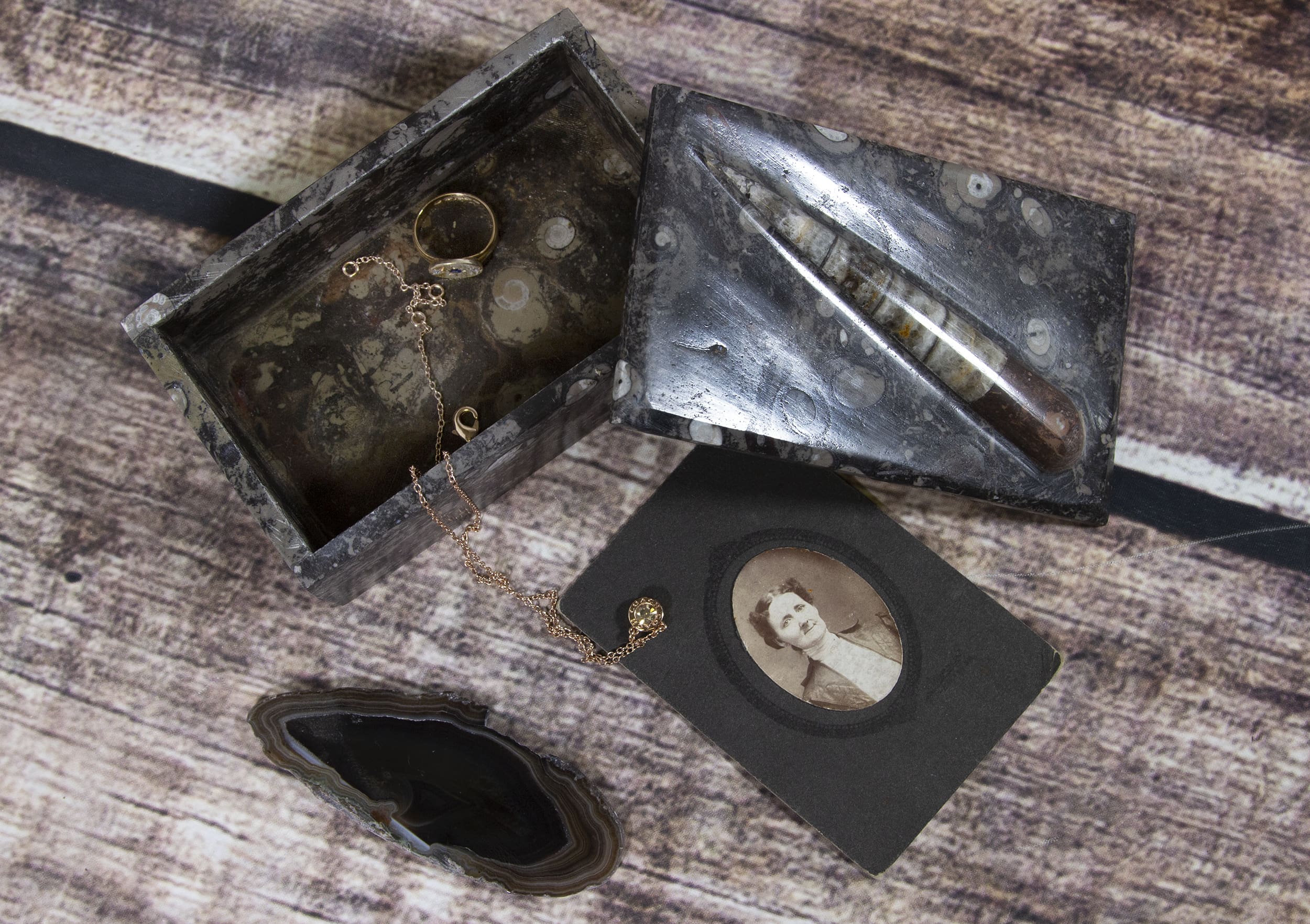 Ammonite and Orthoceras Trinket box