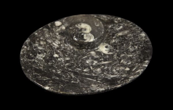 Ammonite dish