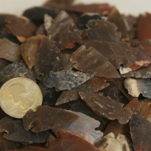 Arrowheads 25 pack 1" replica