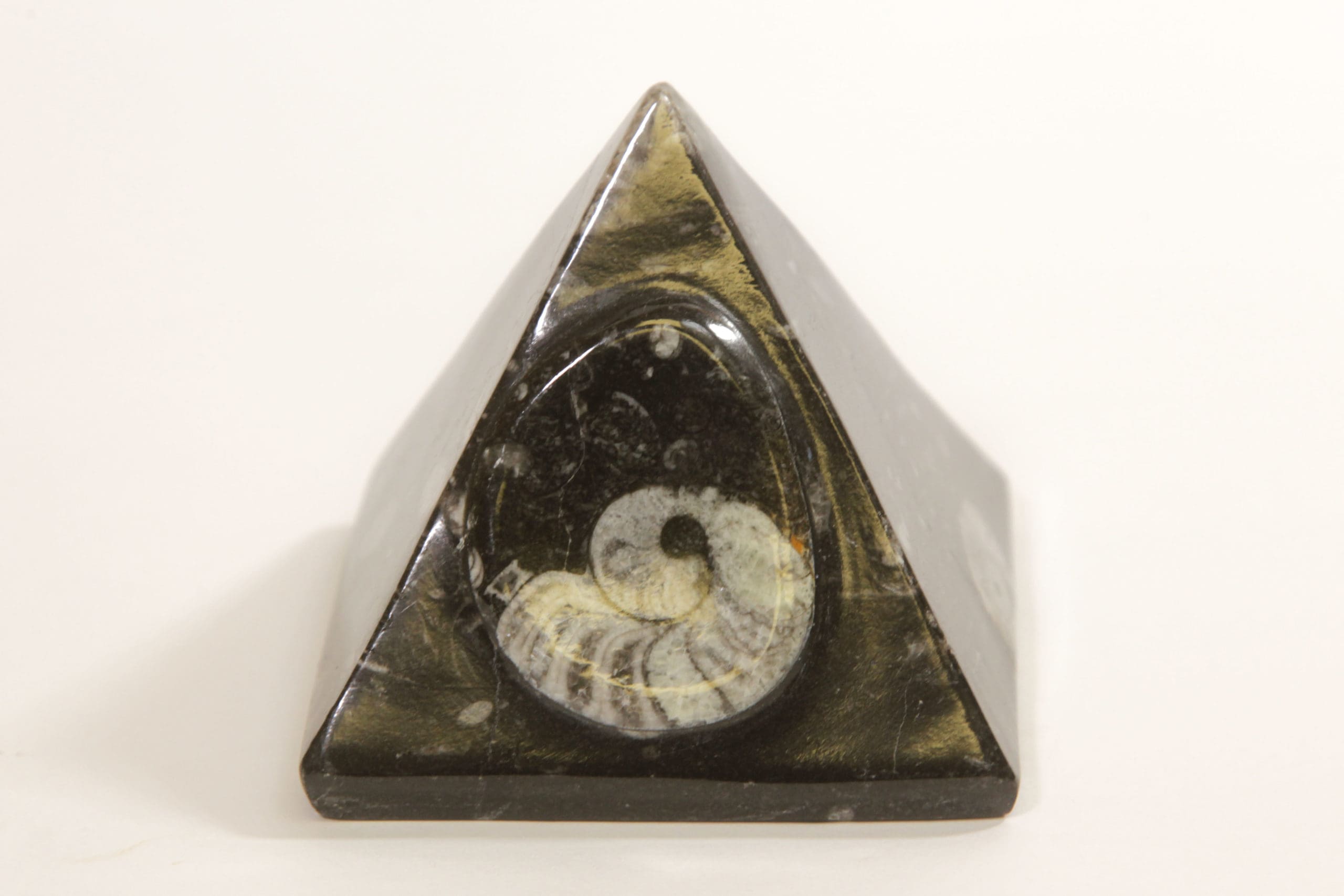 Orthoceras Pyramid
