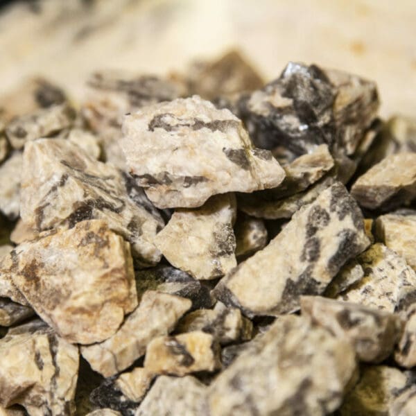 Zebradorite 1lb Rough