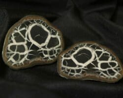 Septarian Nodule, Dragon Stone, Matching Pair
