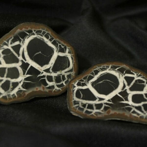 Septarian Nodule, Dragon Stone, Matching Pair