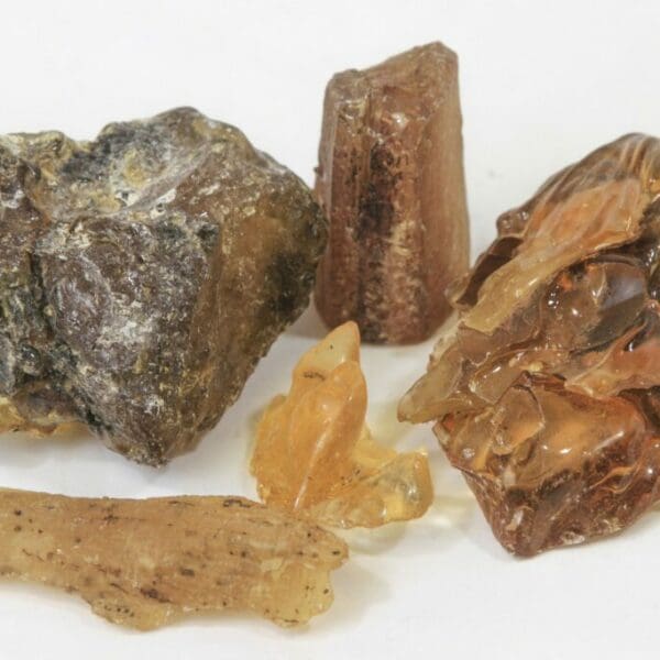 Raw Amber, Copal 1lb
