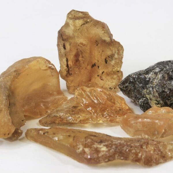 Raw Amber, Copal 1lb