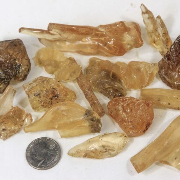Virgin Copal, Amber, 1/4lb