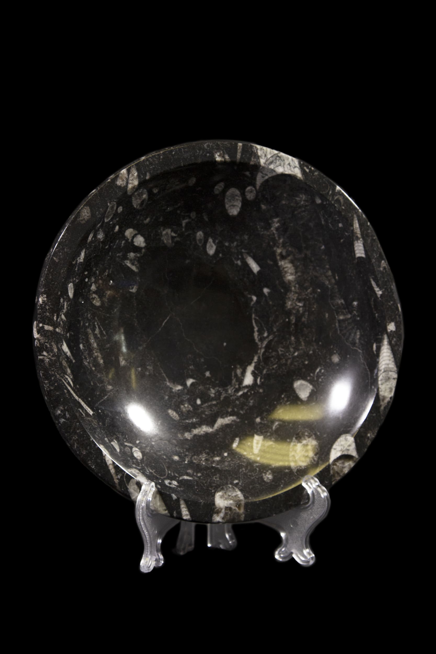 Black Orthoceras 8" Bowl