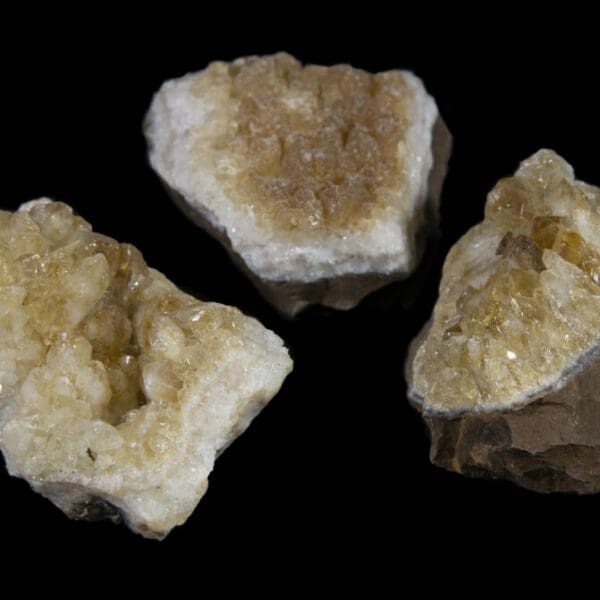 Stunning Citrine Trio - Med