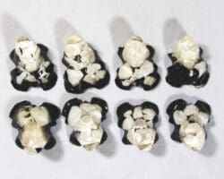 Small White Frog - Semi Precious Mineral Figurine (One Frog)