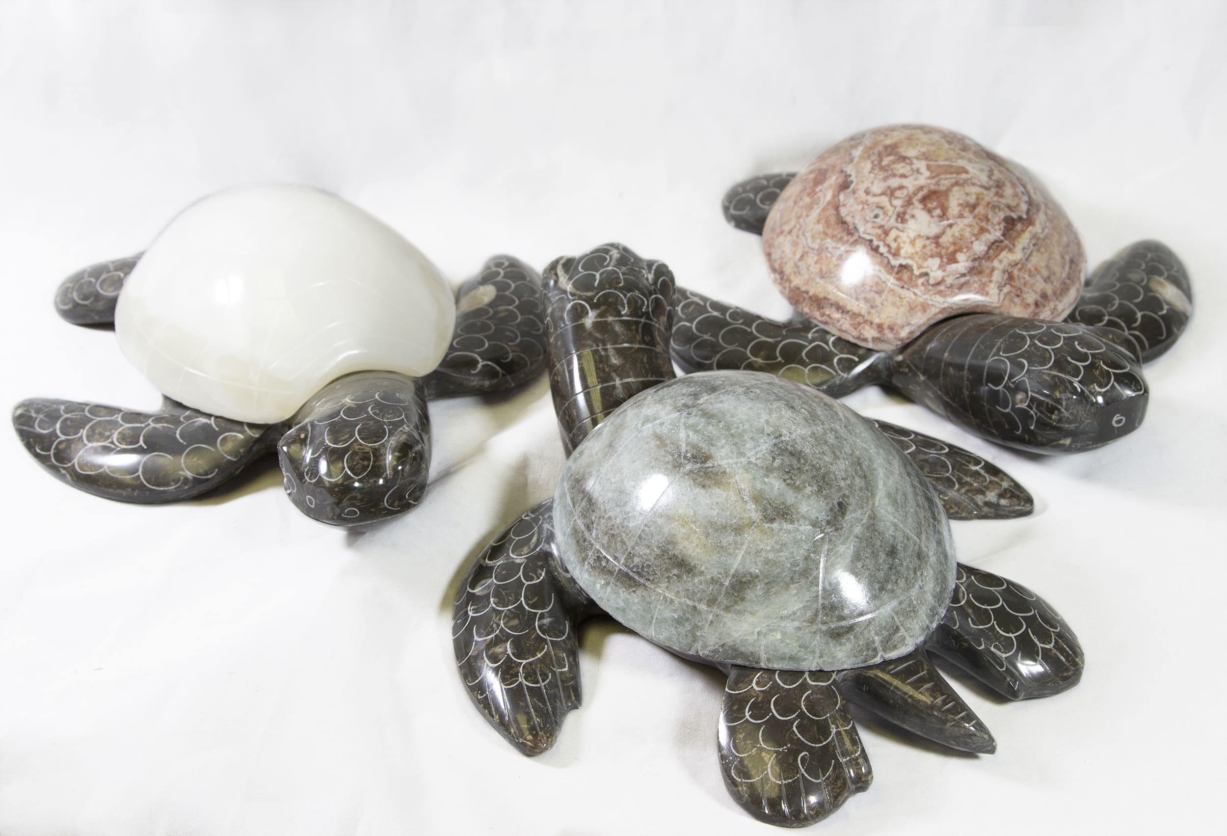Marble Natural Turtle 9" -Turtleman Foundation Purchase (One Turtle)