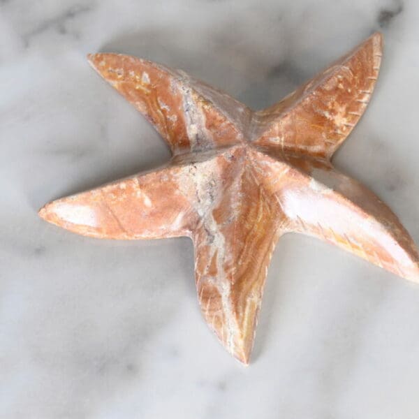Marble Starfish 5" - Turtleman Foundation Purchase (One Starfish)