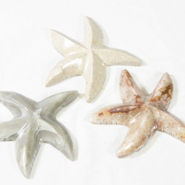 Marble Starfish 3" - Turtleman Foundation Purchase (One Starfish)