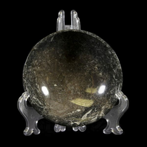 Ammonite and Orthoceras Bowl