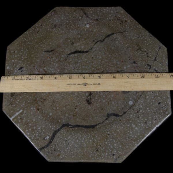 12" Octagonal Orthoceras Dinner Plate