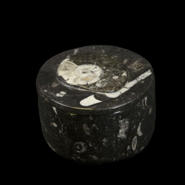 Round Orthoceras Trinket Box