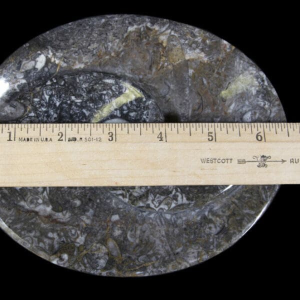 Ammonite and Orthoceras Oval Spiral Tray