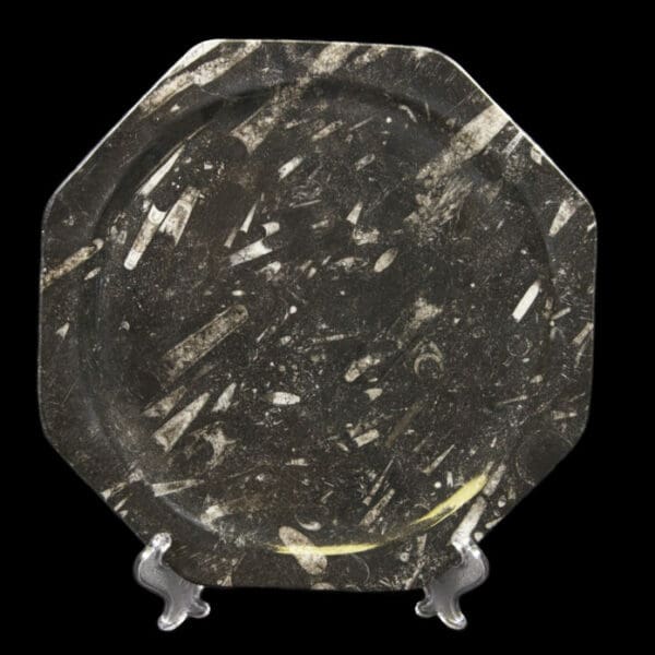 Black Octagonal Orthoceras Plate