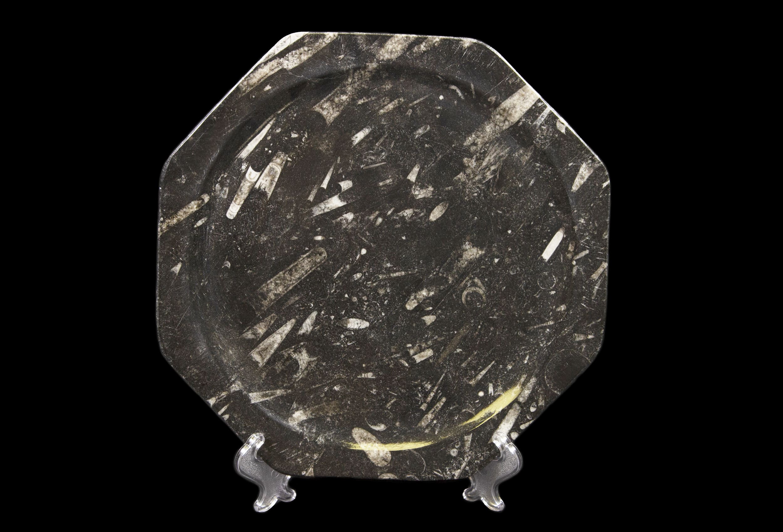 Black Octagonal Orthoceras Plate