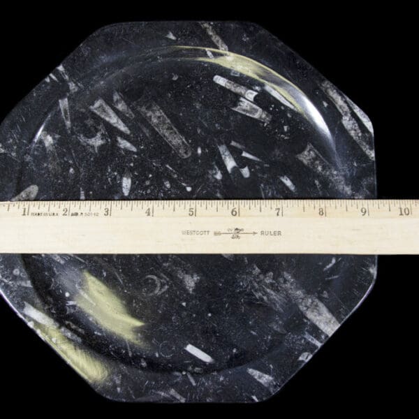 Black Octagonal Orthoceras Plate