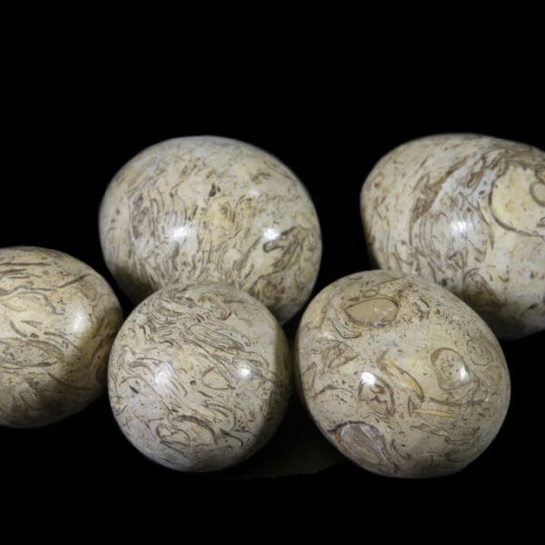 Onyx Polished Eggs (One Egg)