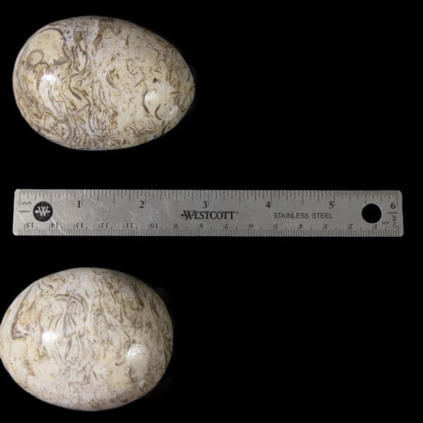 Onyx Polished Eggs (One Egg)