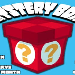 Monthly Mystery Box