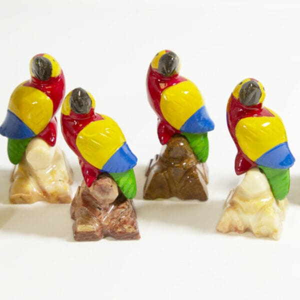 Marble Macaw Parrot 2" - Turtleman Foundation Purchase (One Parrot)