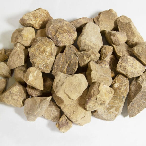 One Pound of Rough Miriam Stone (Arabic Stone)