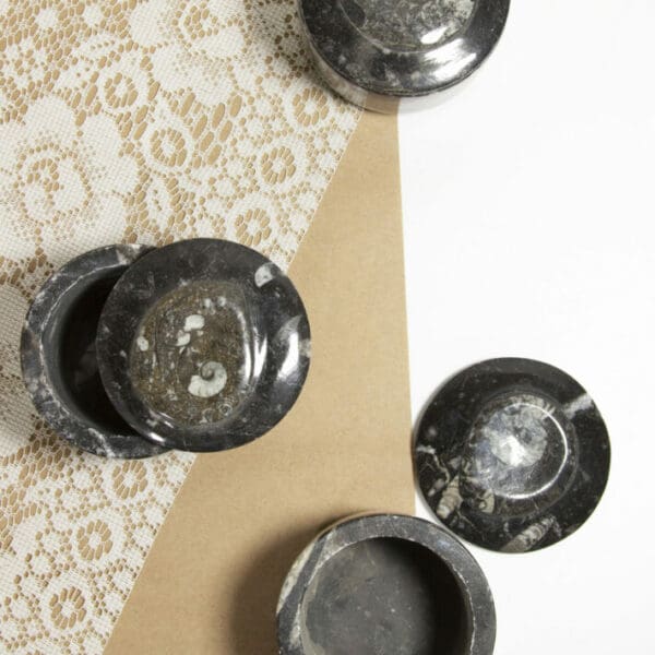 3" Round Orthoceras Trinket Box