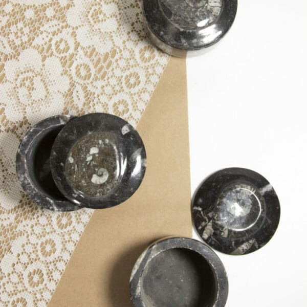 3" Round Orthoceras Trinket Box