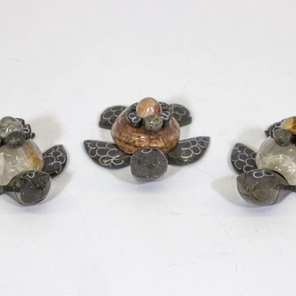 Marble Turtle and Baby