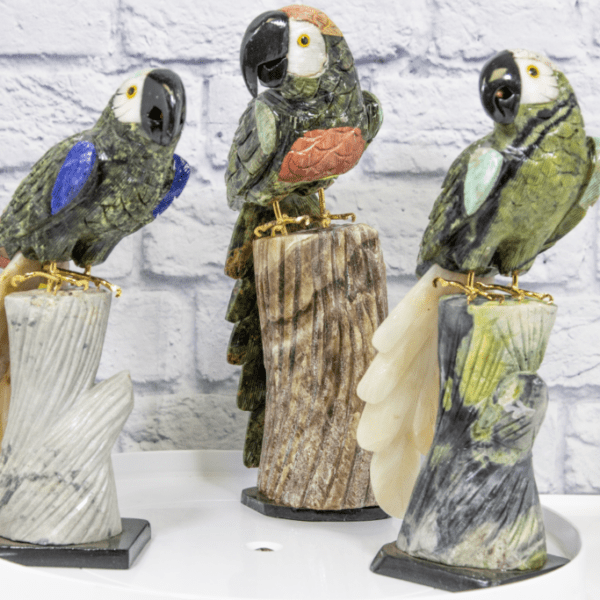 Hand Carved Tropical Parrot