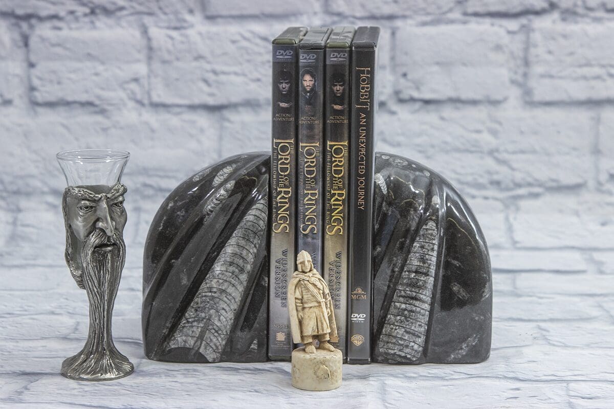 Small Round Orthoceras Bookends